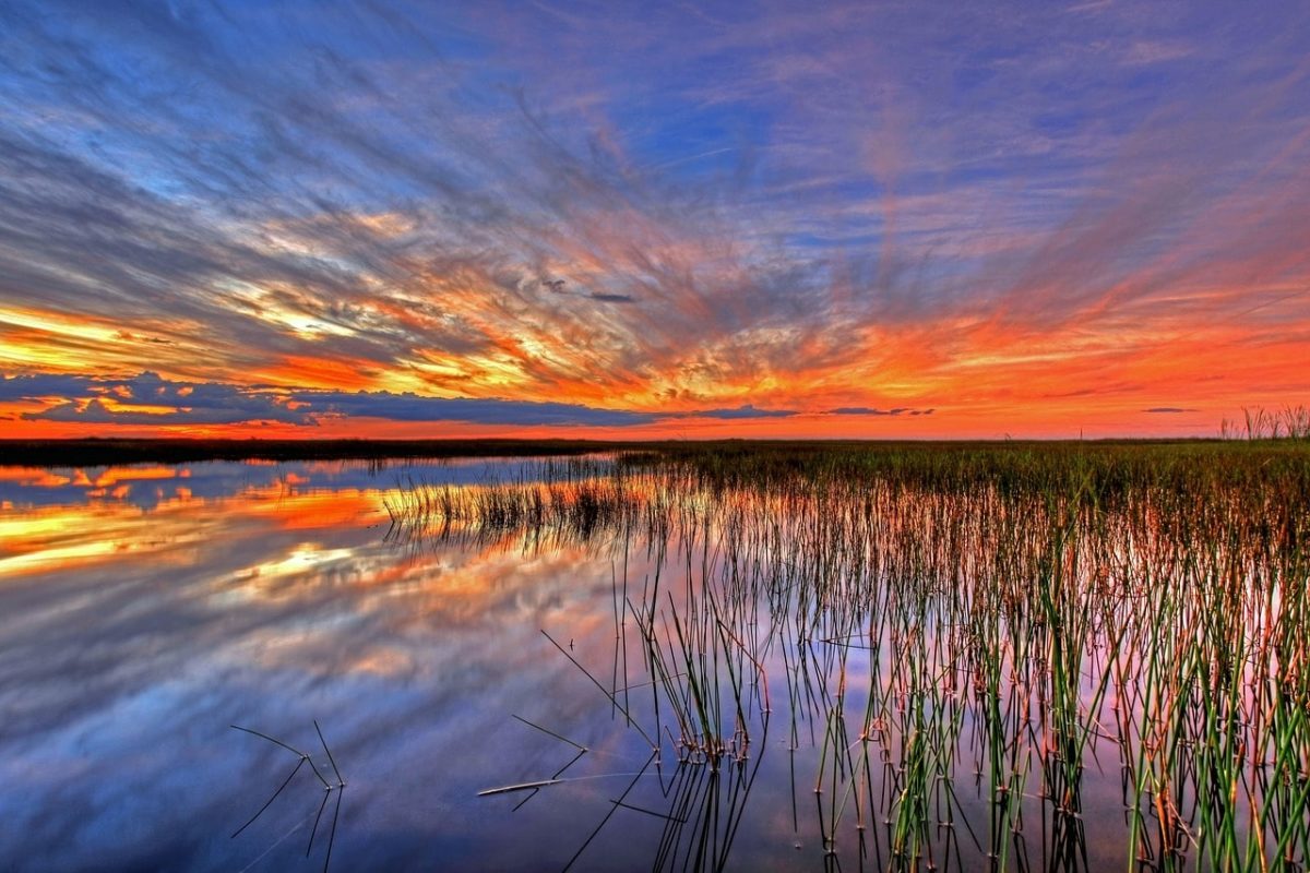 Miami Everglades tour